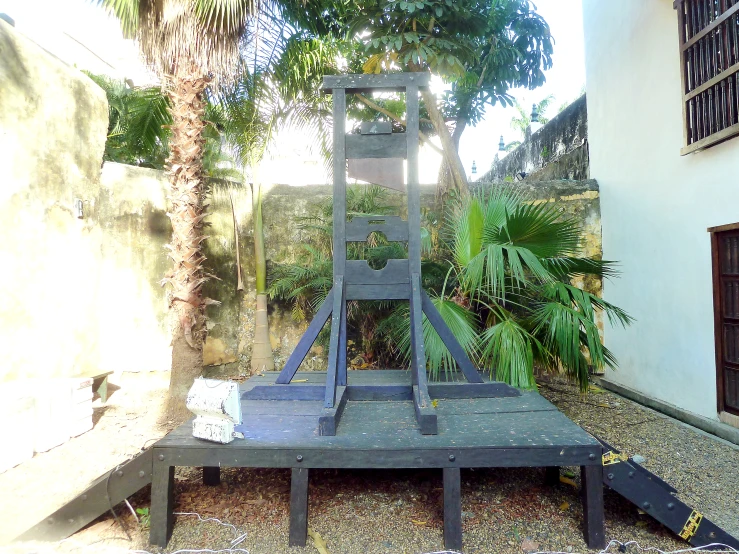 a ladder sitting next to a palm tree and a building