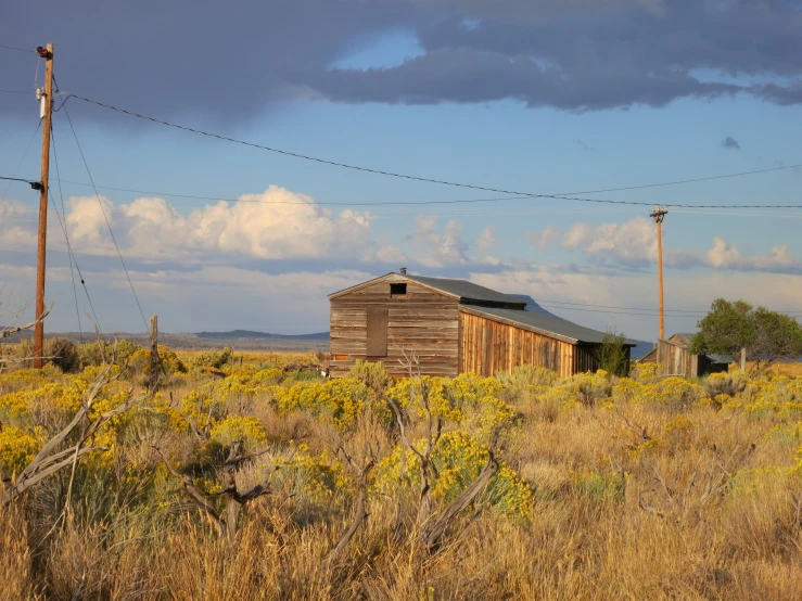 a barn in the middle of some tall dry grass