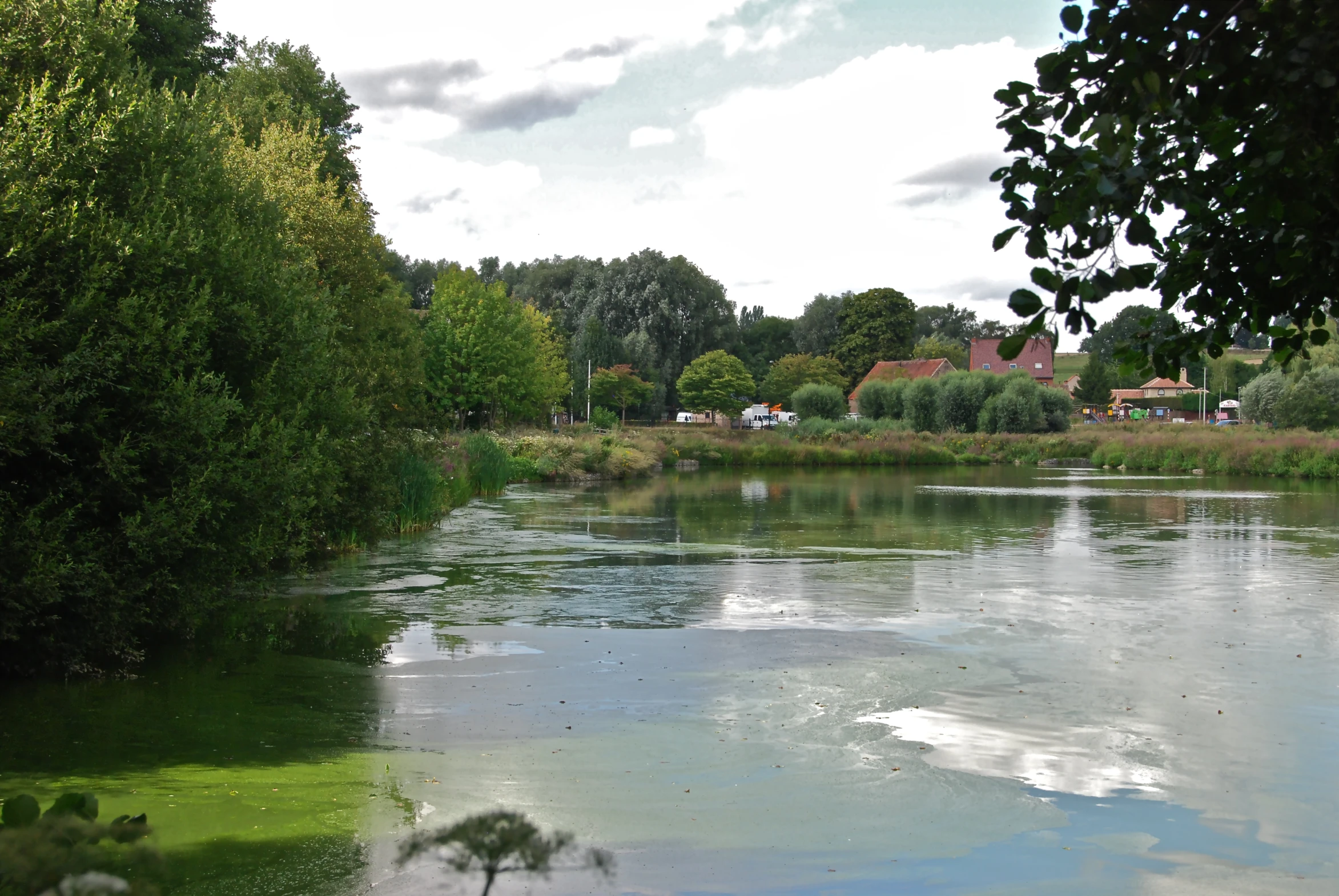 a view of a calm pond with water in the foreground