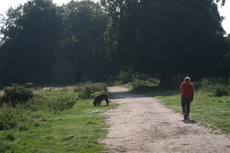 a person walking down a dirt road while holding a dog