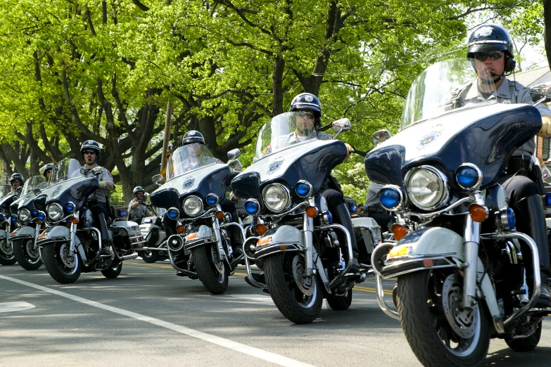 a large number of cops riding motorcycles down the street