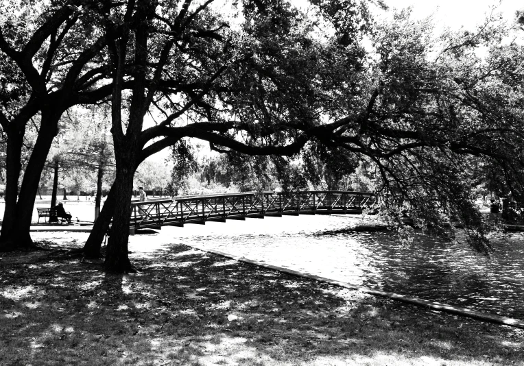 the picnic table has chairs and is next to the tree