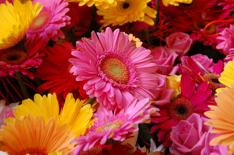 brightly colored flowers displayed in a bouquet