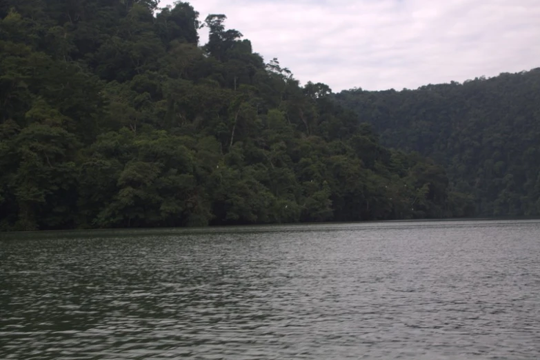 two small boats in a large lake surrounded by tall trees