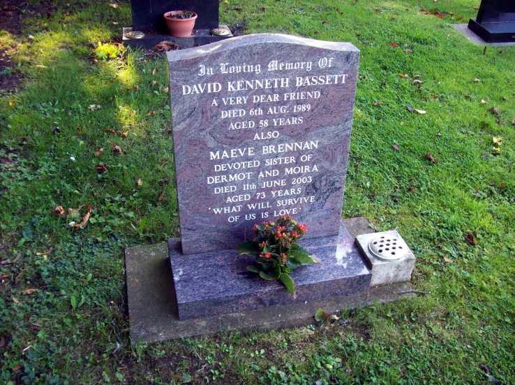 a small memorial marker sits on the grass