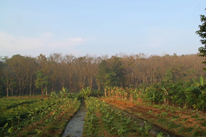 a view from the train shows an outdoor farm area