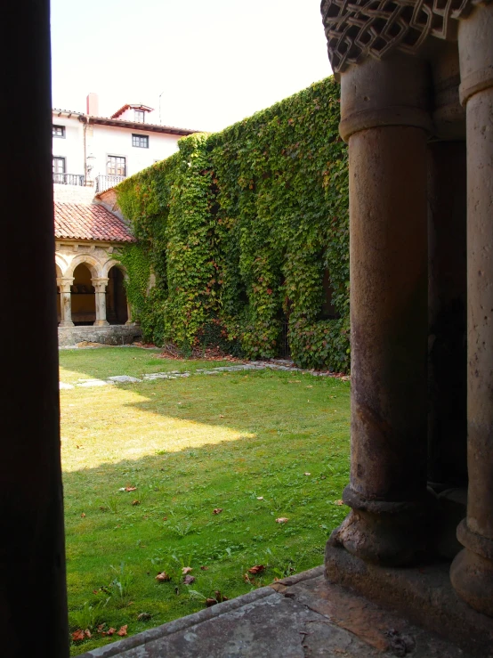 the back yard of a building with many vines surrounding it