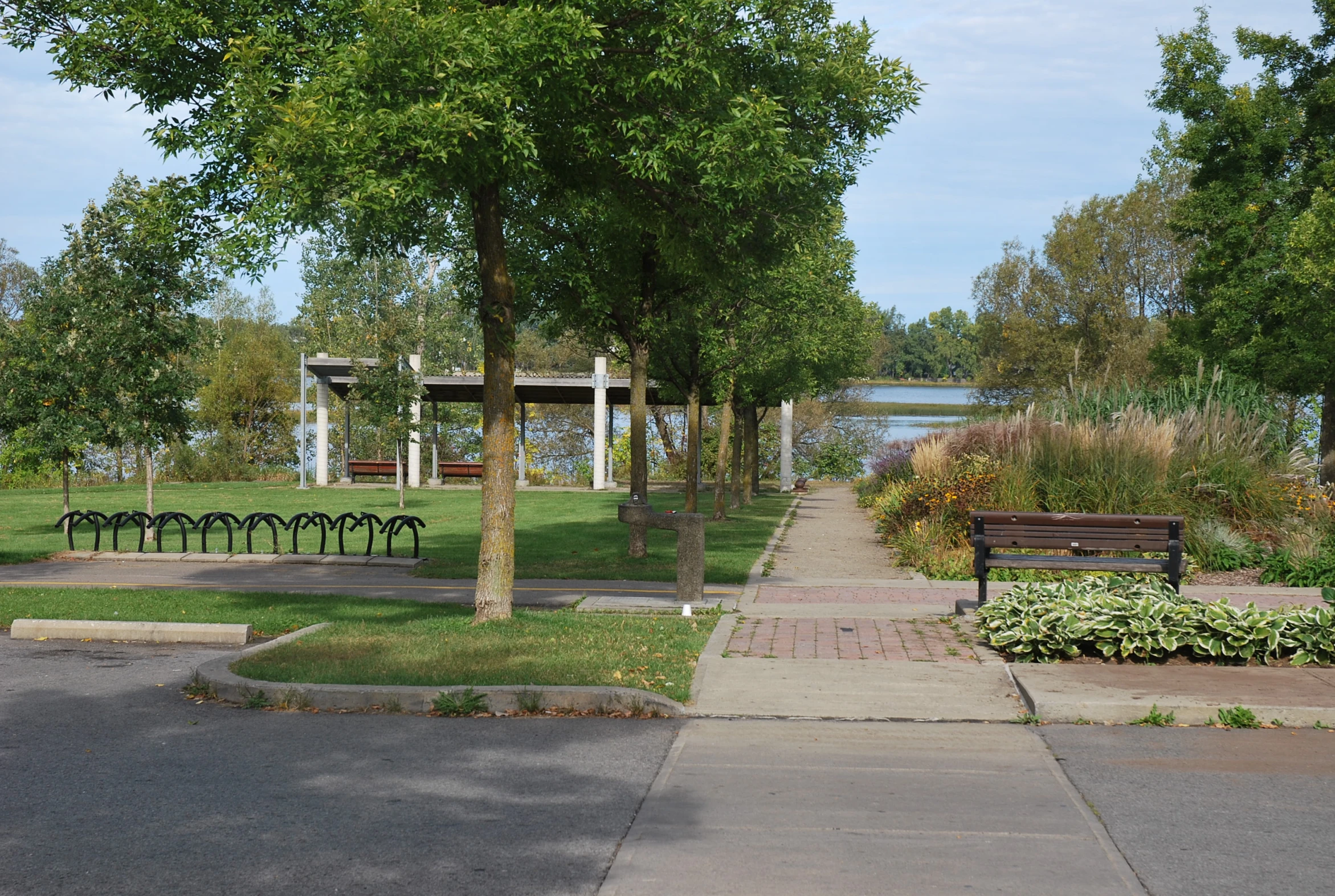 park bench near empty walkway with lots of trees