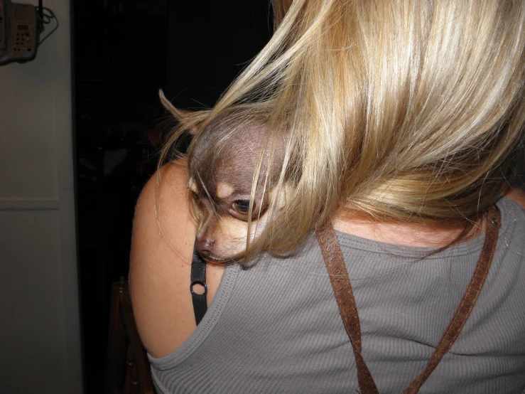 a dog sitting on top of a woman's shoulder