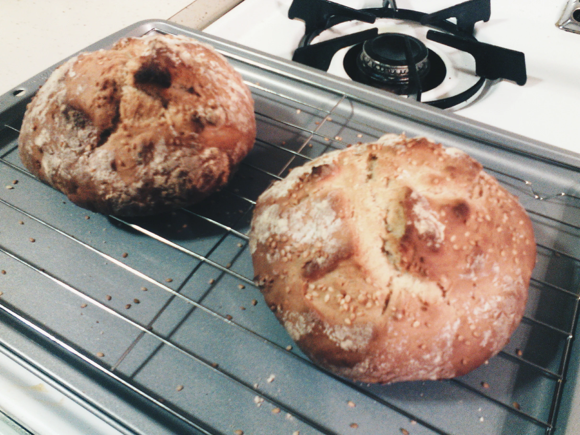 two loaves of bread sitting on a metal rack