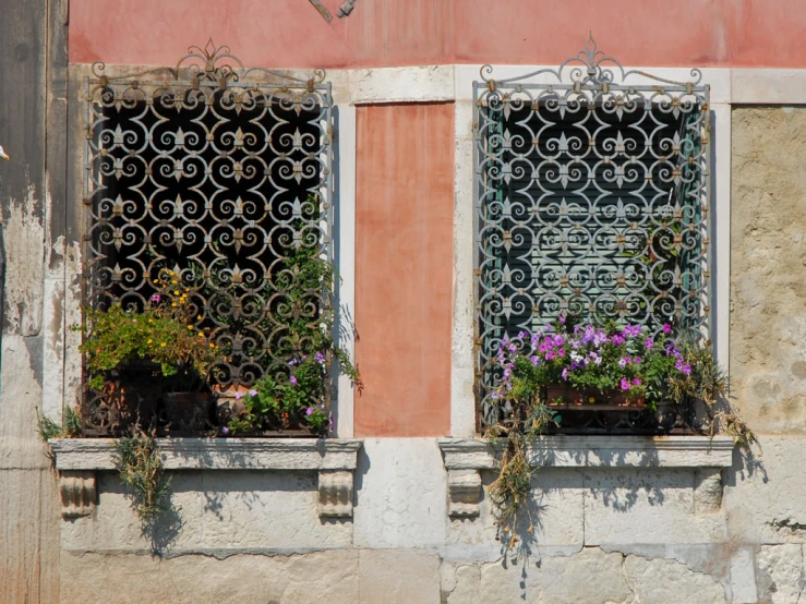 some flower plants sitting in a window of a building