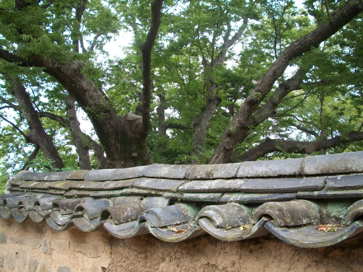 a stone wall with a tree behind it