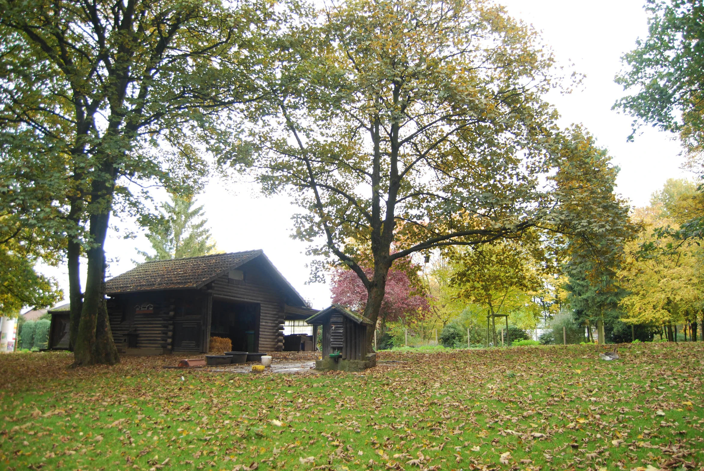 a wooden shed sits in a grassy area