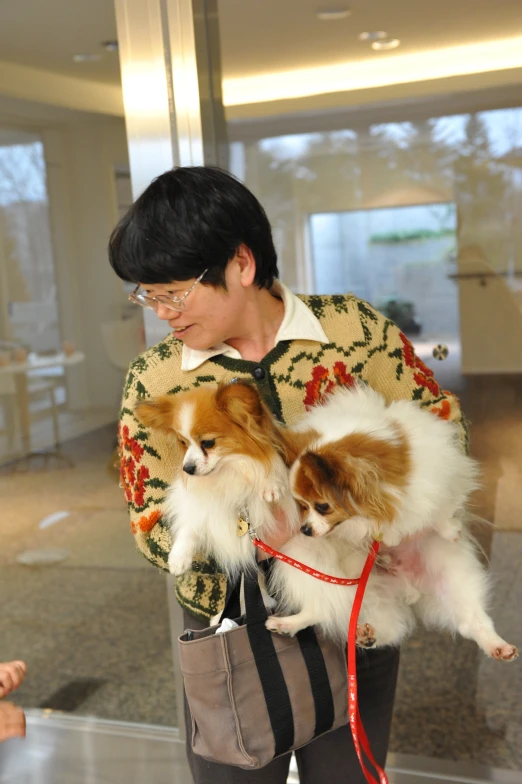 a person carrying two small dogs in the middle of their body