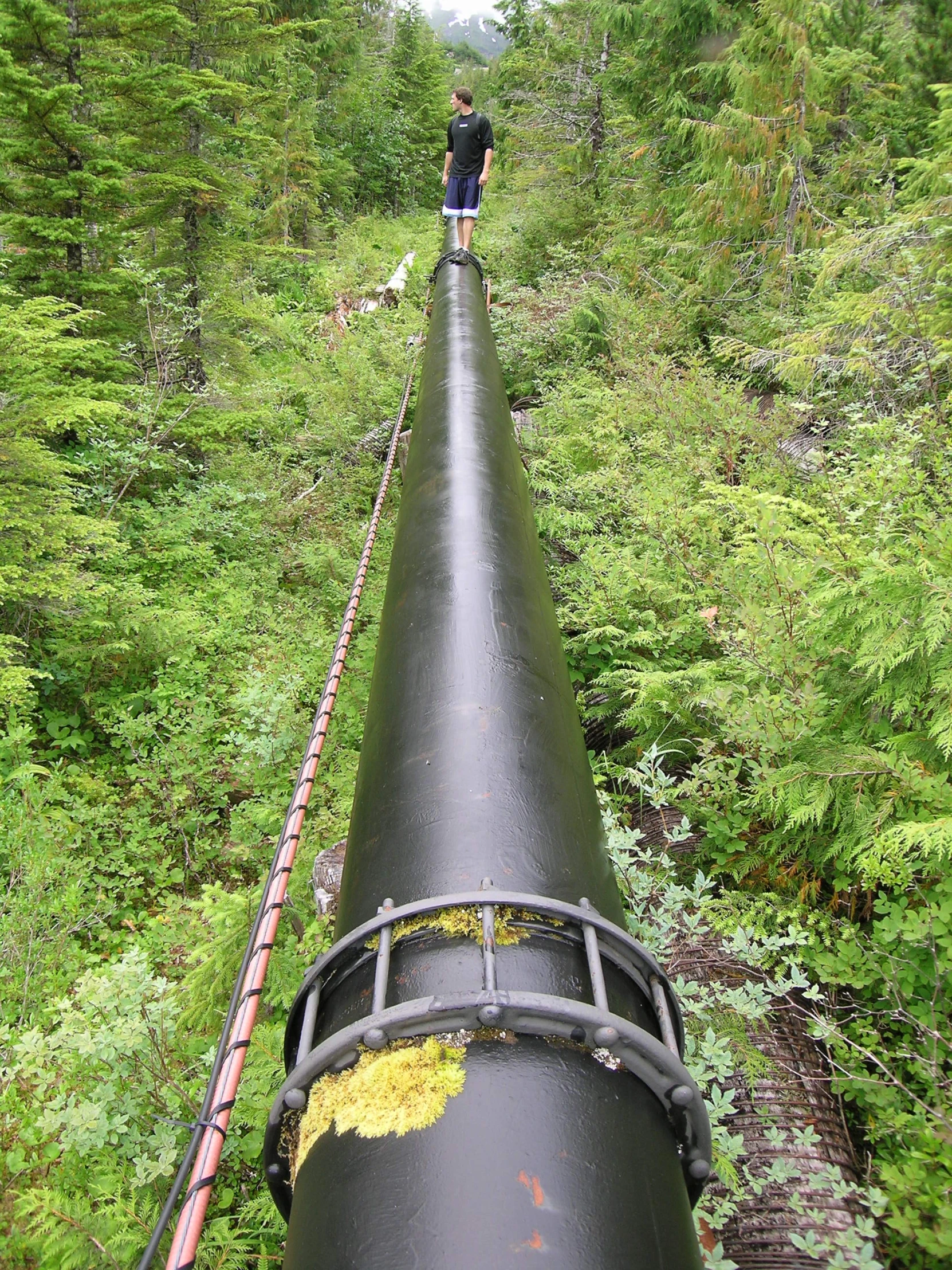 the man is standing on the top of the train tracks and looking at the forest