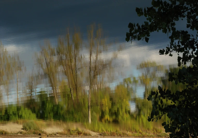 a large, abstract po of a field with trees