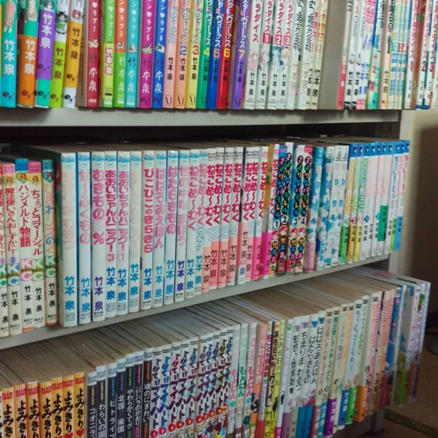 many books and pamphlets are on display in this book case