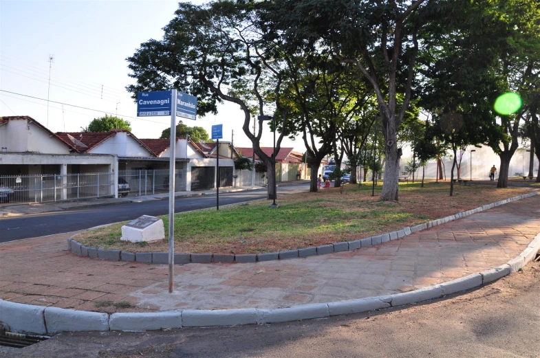 an empty city road lined with trees on the side