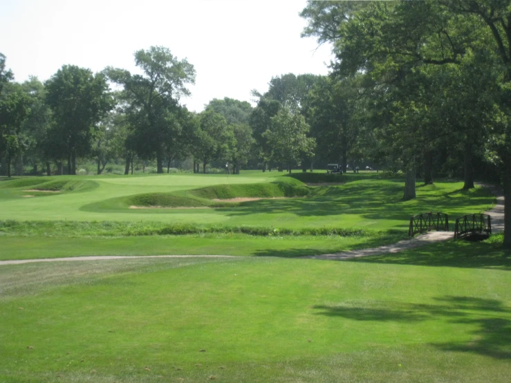 a green golf field surrounded by trees