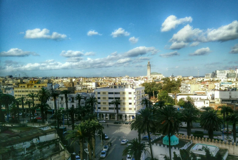 city skyline with tall buildings and palm trees