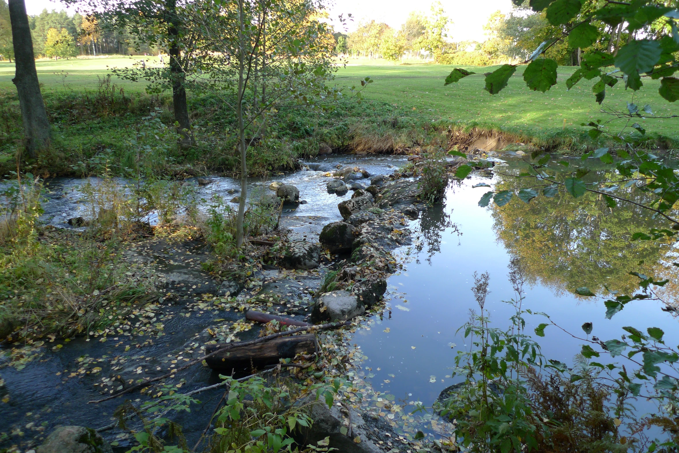 an image of a creek flowing through a park