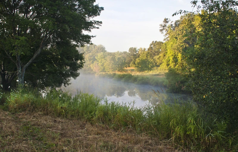 the sun shining in the distance shines onto a river near trees