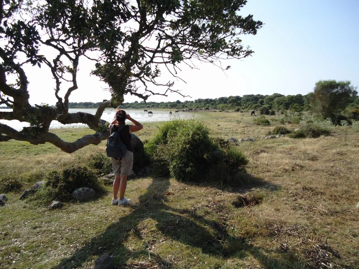 man standing by a tree looking through binoculars