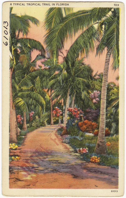 a tropical card with a woman walking along a road