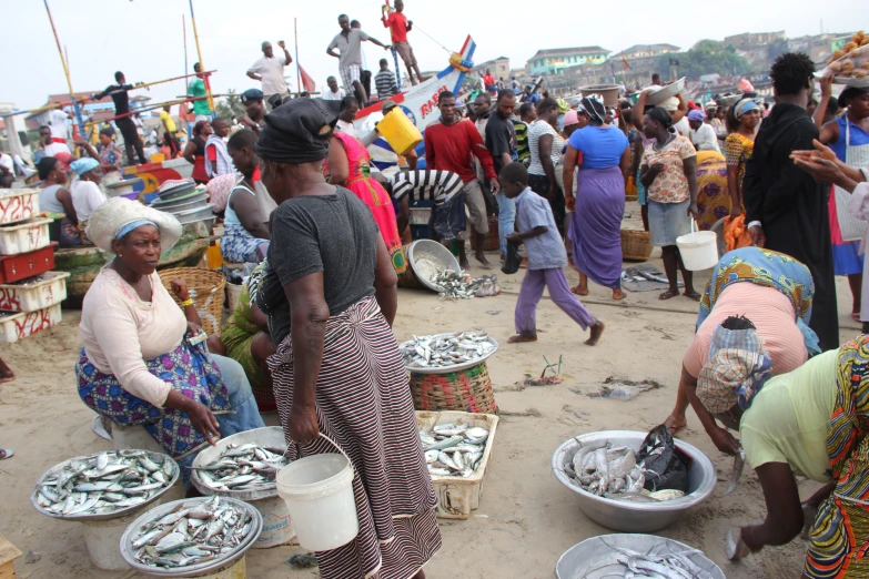 a crowd of people are gathering around the fish