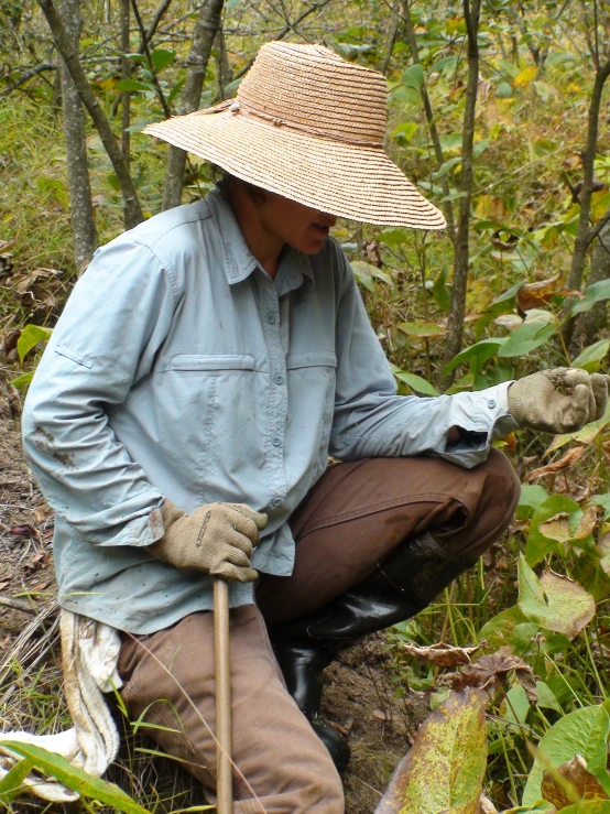a man in blue shirt and hat planting plants