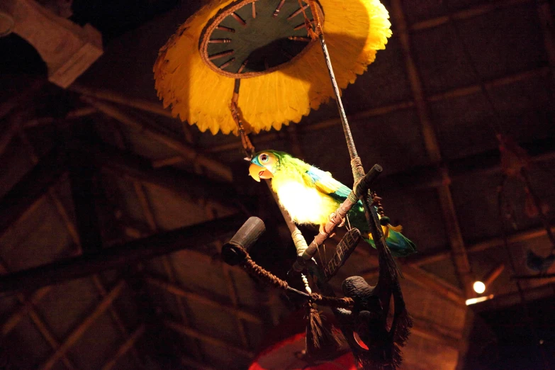 a parrot perched on top of a wooden pole