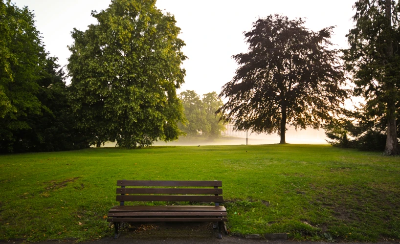 a bench sitting on top of a lush green field