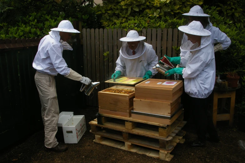 three bees bees wearing protective gear by a wooden fence