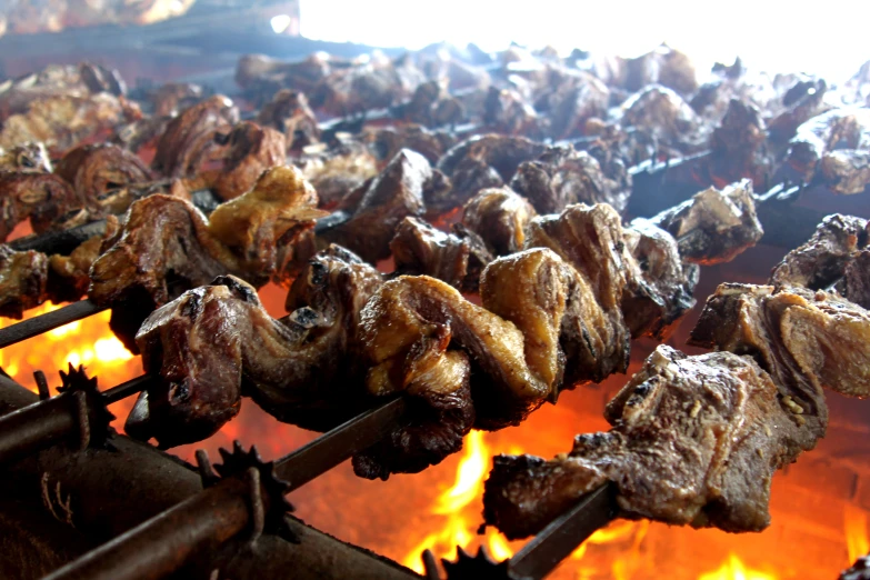 grilled meat on skewers cooking on an open fire