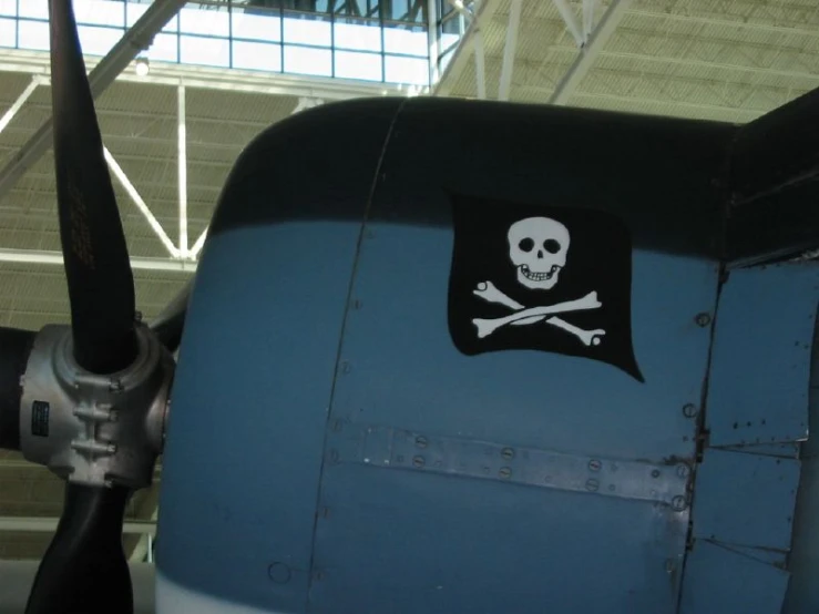 a blue plane with a skull and crossbones patch