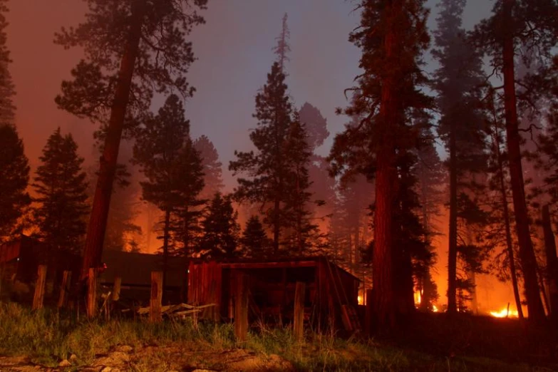 a bushy fire and some trees with a burning shed and bright orange light