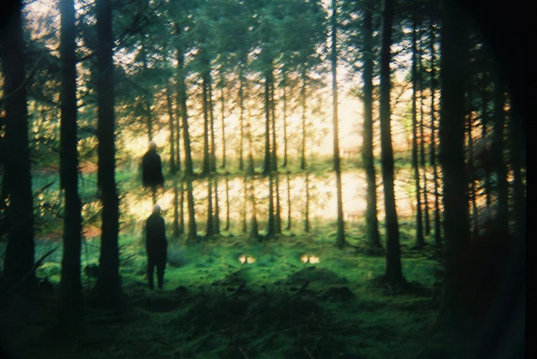 man looking at water through the trees