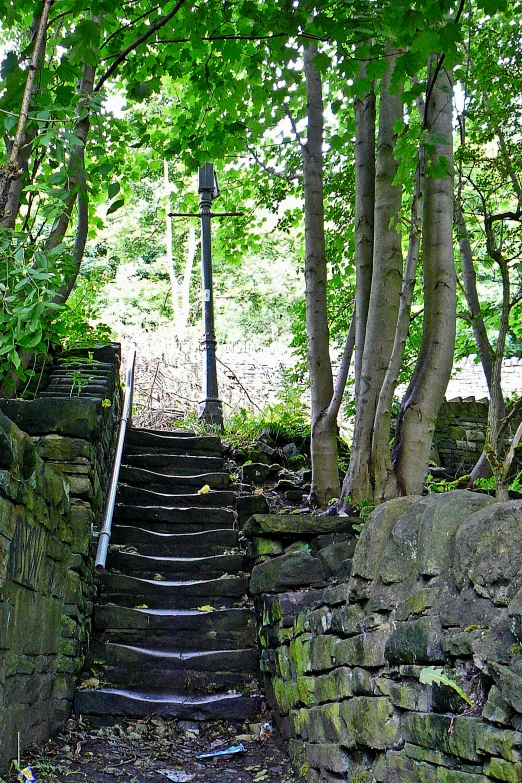 a stone stairway in between trees on a sunny day