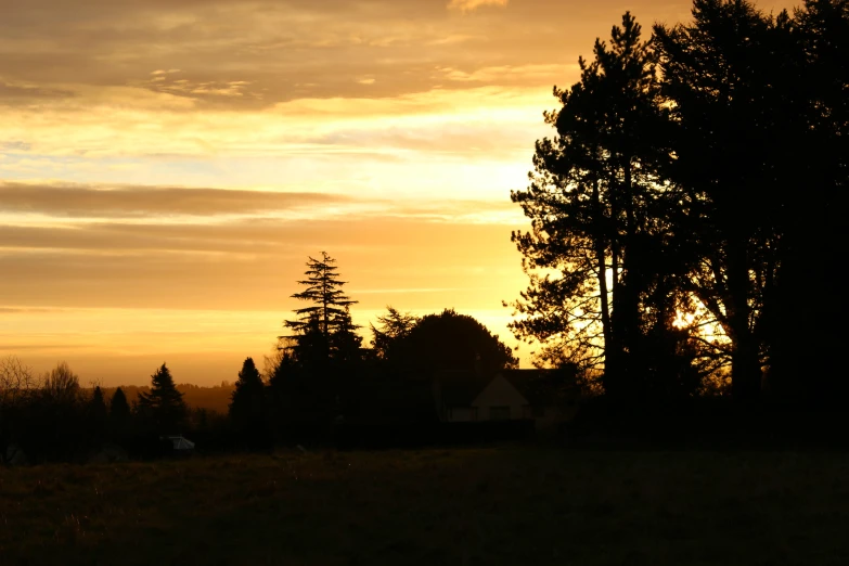 a silhouette of a home and some trees in the sunset