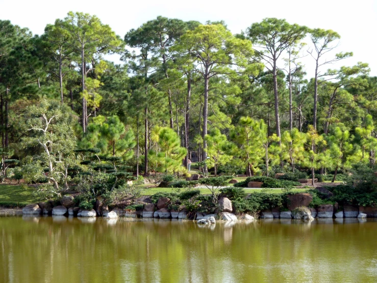 a pond with trees in the background and some rocks in the foreground