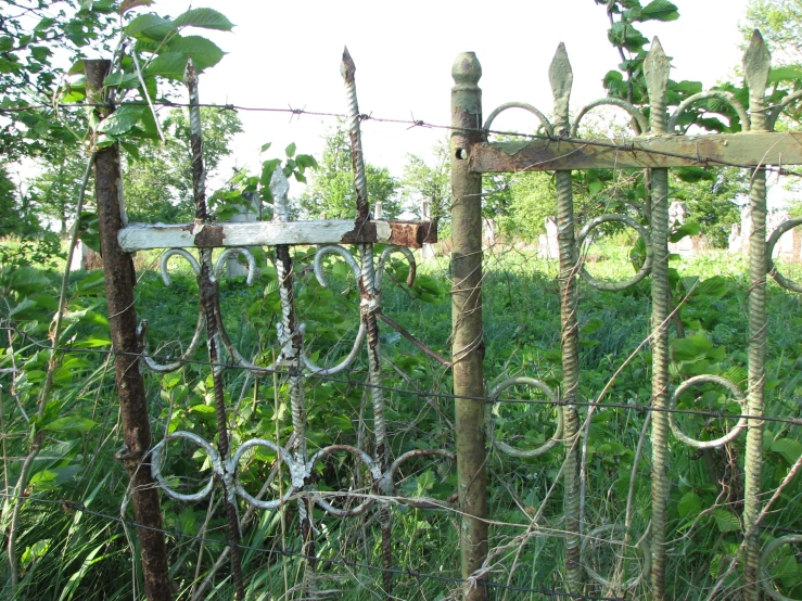 an old gate is near a field of weeds