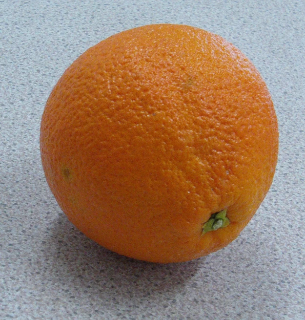 an orange sitting on a counter top