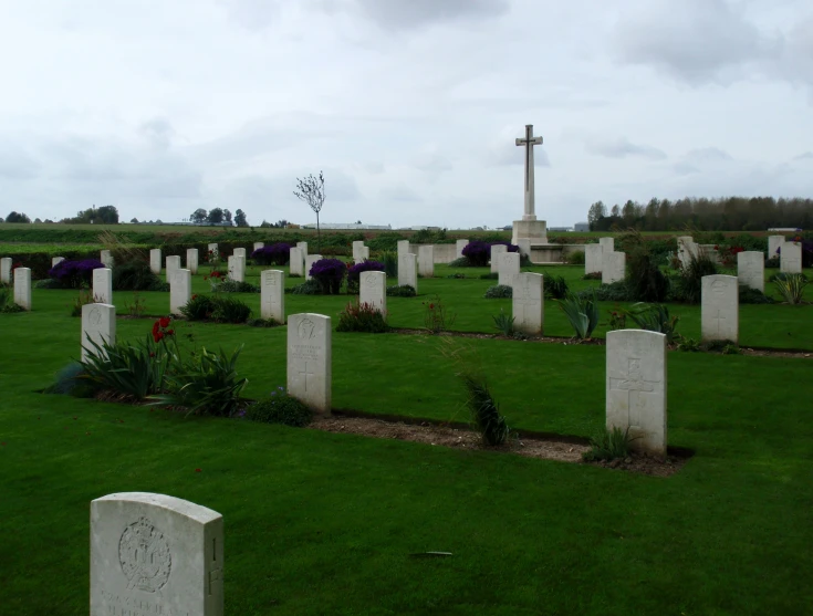 an old cemetery surrounded by a grassy field with flowers and trees