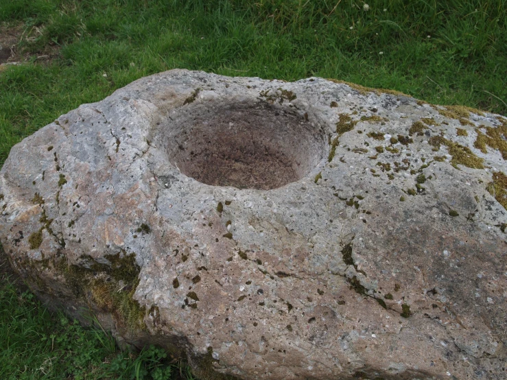 a rock with green moss growing on it