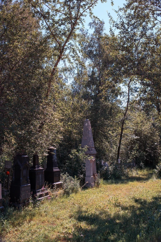 an image of a cemetery near many trees