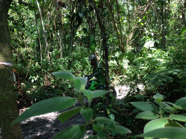 a man riding his motorcycle through the jungle