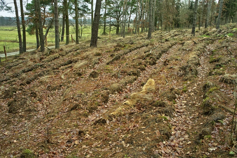 there is no grass or trees on this hillside