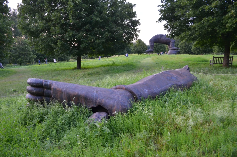 this is a large, twisted object in the grass