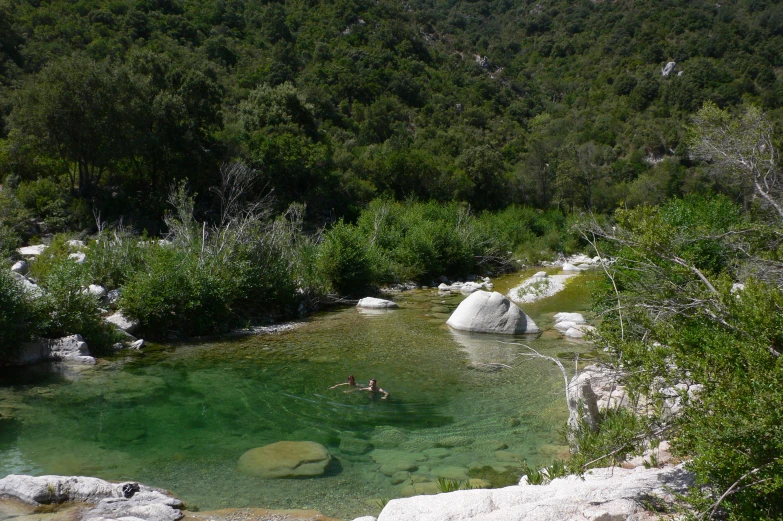 a body of water surrounded by forest and rocks