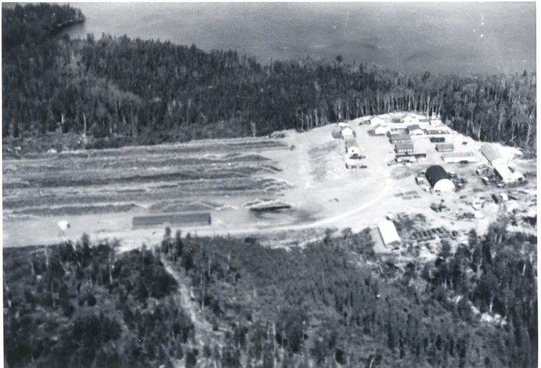 aerial view of construction area with multiple trees